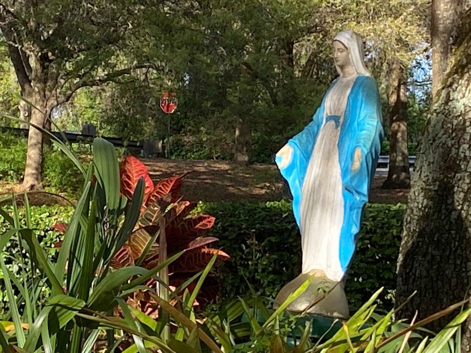 Prayer of Consecration of Russia and Ukraine to the Immaculate Heart of Mary St. Patrick