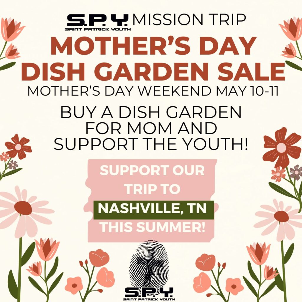 Dish Garden Sale